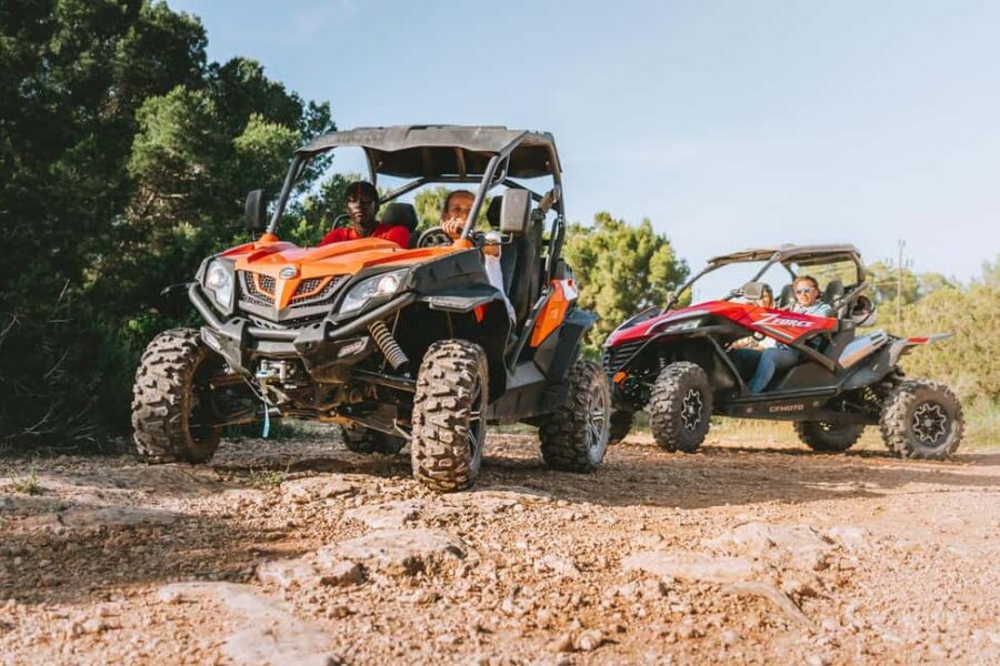 Ibiza: Buggy Excursion to Explore Beaches and Unique Views - From the Ancient Paths to Stunning Cliffs