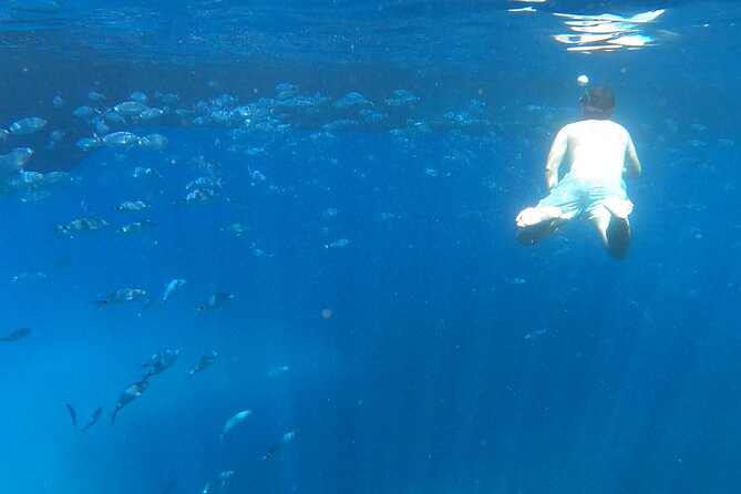 Ibiza Catamaran Cruise Es Vedrà Morning or Sunset - The Departure Point and Meeting Location in San Antonio