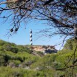 Ibiza: Crystal Coast Walk with Swim Stop - The Scenic 3-Hour Walk Along Ibiza’s Rugged Coastline