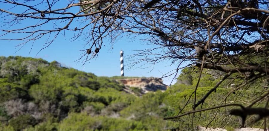 Ibiza: Crystal Coast Walk with Swim Stop - The Scenic 3-Hour Walk Along Ibiza’s Rugged Coastline