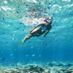 Ibiza: Formentera Boat Tour with Meals, Water & Open Bar - Convenient Departure and Meeting Point in Ibiza