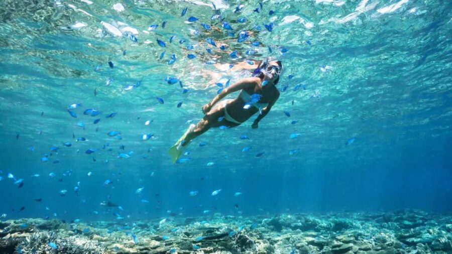 Ibiza: Formentera Boat Tour with Meals, Water & Open Bar - Convenient Departure and Meeting Point in Ibiza