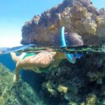 Ibiza: Full Day paddle Boat Tour with Course & BBQ included. - Discover the Scenic Coastal Stops and Water Activities