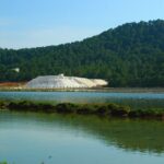 Ibiza Tour Island Bus Tour with Hippie Market Visit - Exploring Playa de Ses Salines and Salinas Natural Park