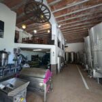 Ibiza: Winery Tour + Tasting Experience with Pickup/Dropoff - Touring the Family-Run Winery Amidst Breathtaking Settings