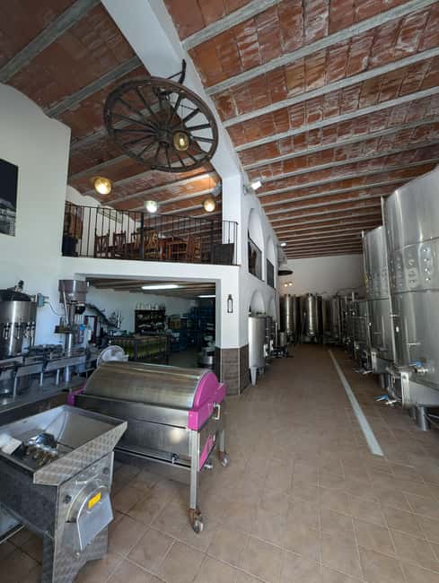 Ibiza: Winery Tour + Tasting Experience with Pickup/Dropoff - Touring the Family-Run Winery Amidst Breathtaking Settings