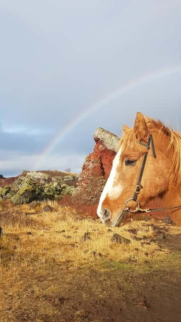 Iceland: Volcanic Landscape Horse Riding Tour - The Scenic Starting Point in the Capital Region