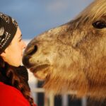 Icelandic Horse Riding and Whale Watching Tour from Reykjavik - Starting Point at the Ishestar Horse Riding Centre Outside Reykjavik