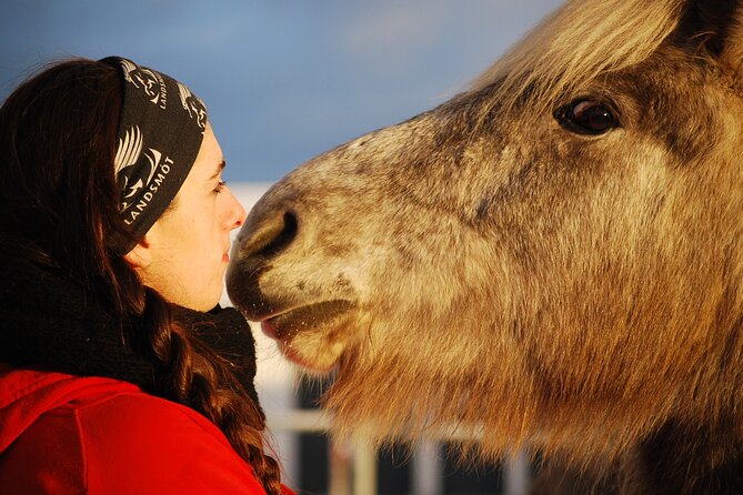 Icelandic Horse Riding and Whale Watching Tour from Reykjavik - Starting Point at the Ishestar Horse Riding Centre Outside Reykjavik