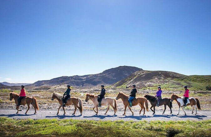 Icelandic Horseback Riding Tour from Reykjavik - The Unique Icelandic Horse and Its Gentle Nature