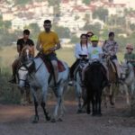 Icmeler Horse Riding Through The Rivers and Forest - Convenient Pickup from Icmeler Hotels