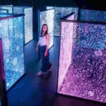 IKONO Budapest - Immersive Experience - The Location and Booking Details in Budapest