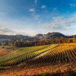 Il Monsù: A Journey through Nebbiolo, Barbaresco, and Barolo - Starting Point: The Welcome at Tenuta Moscone’s Tasting Room