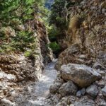 Imbros Gorge Guided Hike & Swim  Day Trip from Chania - Transportation and Group Size
