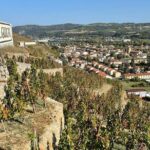 Immersion Domaine E.GUIGAL Visit wine cellars and tasting - Exploring the Vineyards of Ampuis and Côte-Rôtie