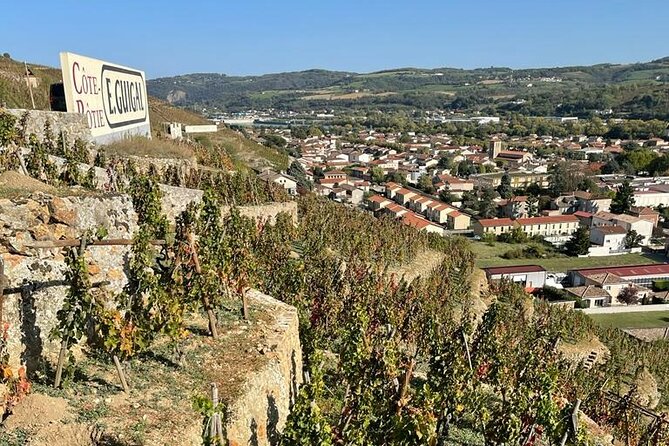 Immersion Domaine E.GUIGAL Visit wine cellars and tasting - Exploring the Vineyards of Ampuis and Côte-Rôtie