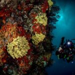 Immersion in Banco Santa Croce from Sorrento with Expert Guide - Timing, Meeting Point, and Group Size