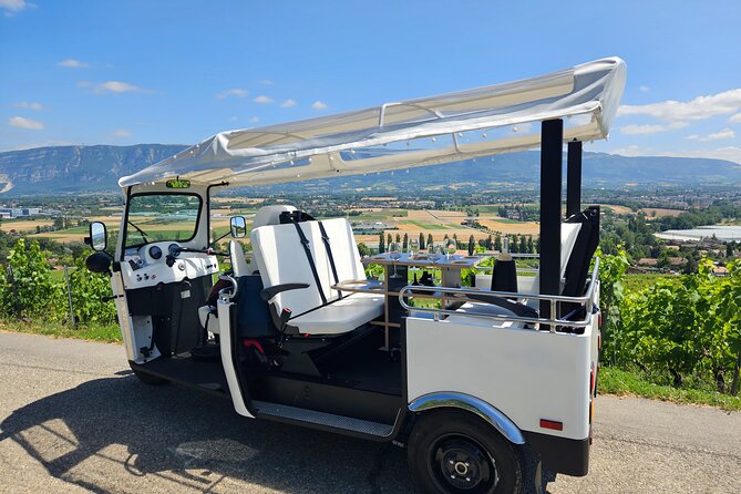 Immersion in the Geneva vineyards by tuktuk with tasting - Riding in an Electric TukTuk Through Geneva’s Countryside