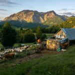 Immersive 2-Day Tour/Homestay with Shepherds in the Albanian Alps - The Starting Point at Qafe Perdolec and the Trek to Shepherds