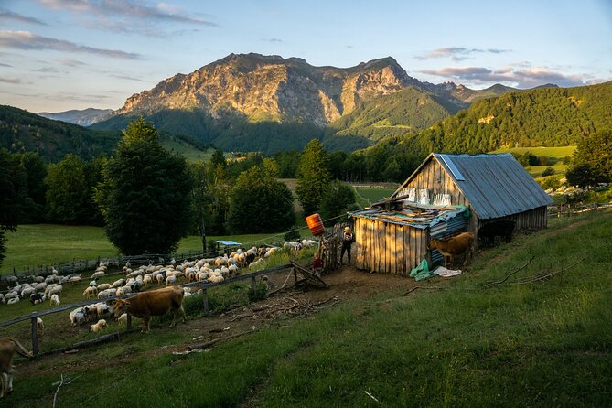 Immersive 2-Day Tour/Homestay with Shepherds in the Albanian Alps - The Starting Point at Qafe Perdolec and the Trek to Shepherds