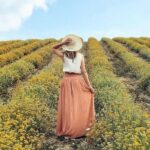 Immortelle farm island Krk - Starting Point and Logistics