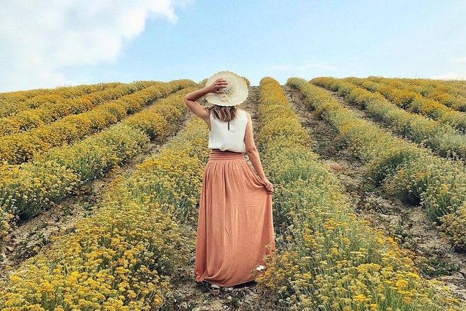 Immortelle farm island Krk - Starting Point and Logistics