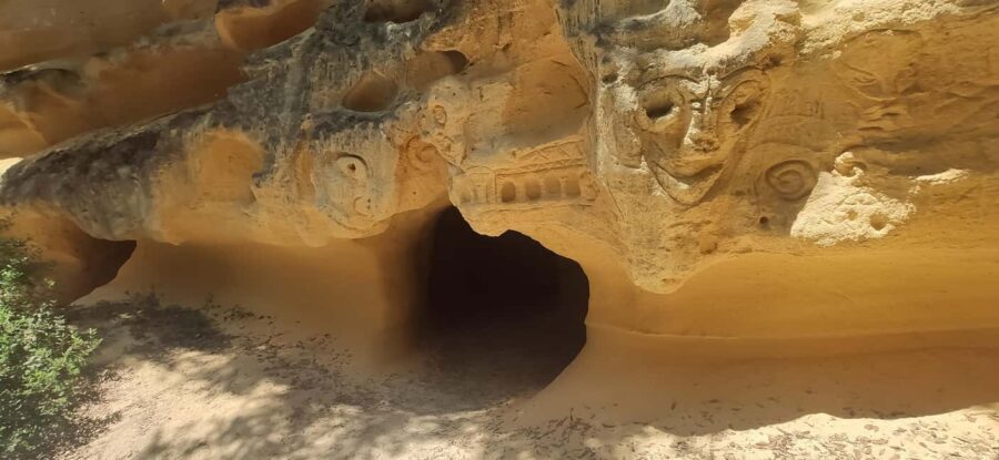 In the woods of Bibbona, a walking tour with an archaeologist in a mysterious necropolis - The Mysterious Etruscan Necropolis Unveiled