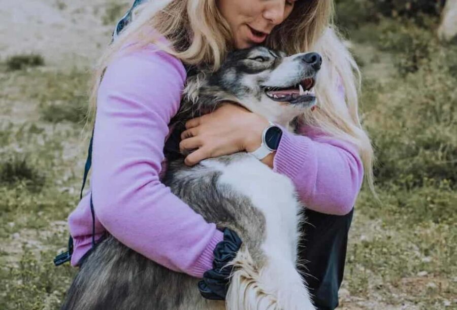 Inari: Husky Hike - Meeting at Wilderness Hotel Juutua for a Transfer to the Husky Farm