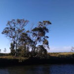 Industry or Nature Boat Tour | Speedboat - Starting Point at Praias da Ria and Its Significance