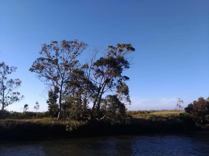 Industry or Nature Boat Tour | Speedboat - Starting Point at Praias da Ria and Its Significance