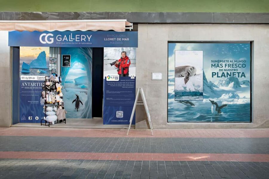 Interactive Photo-Museum of Antarctica with Virtual Reality - Location and Accessibility at CG Gallery Lloret
