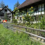 Interlaken: Ballenberg Swiss Open-Air Museum Tour - A Scenic Journey to the Swiss Open-Air Museum