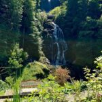 Interlaken: Explore Iseltwald & Giessbach E-bike tour - Wilderswil: The Starting Point for Scenic Adventure