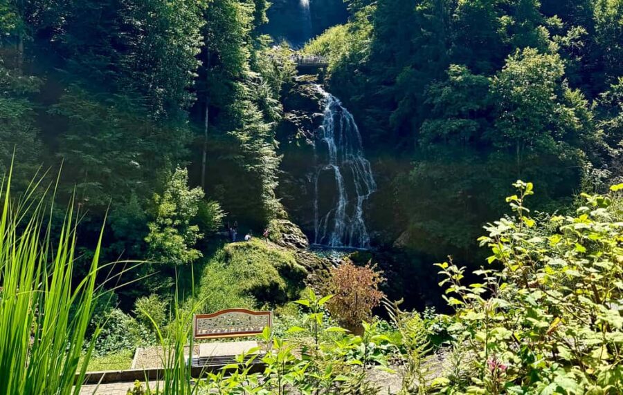 Interlaken: Explore Iseltwald & Giessbach E-bike tour - Wilderswil: The Starting Point for Scenic Adventure