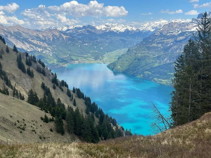 Interlaken: Summit the Augstmatthorn with a Swiss Triathlete - Climbing the Iconic Augstmatthorn with a Swiss Triathlete