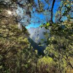 Into the Green Cauldron - Queimadas - Navigating the Levada do Caldeirão Verde: From Mossy Trails to Waterfall Views