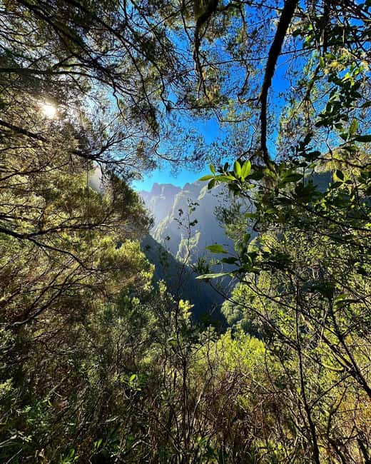 Into the Green Cauldron - Queimadas - Navigating the Levada do Caldeirão Verde: From Mossy Trails to Waterfall Views