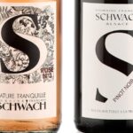 Introduction to Alsace wines - The Wine Tasting: Six Flavourful Wines and Pretzels