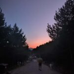 Introductory climbing course: Sierra de Guadarrama. - Guided Climbing in Pedriza and Surroundings