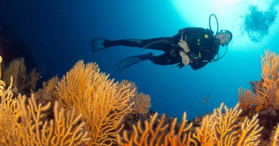 Introductory scuba diving - What Makes This Introductory Dive Special?