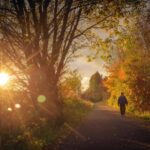 Inverness, Stunning Full-Day Private Guided Hike & Lunch - Hidden Highland Walk and Diverse Scenery