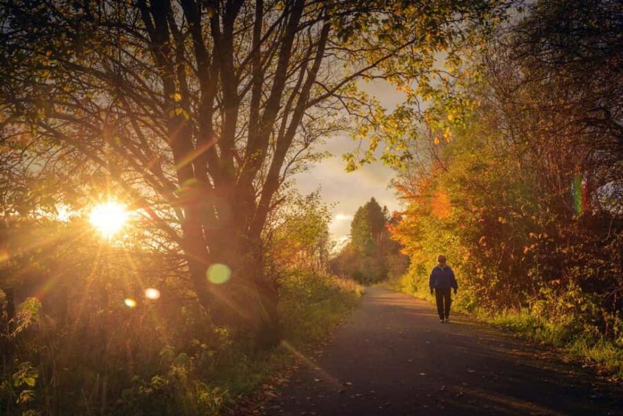 Inverness, Stunning Full-Day Private Guided Hike & Lunch - Hidden Highland Walk and Diverse Scenery