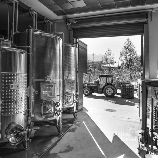 Irpinia Wine Tasting Experience - Frequently Asked Questions