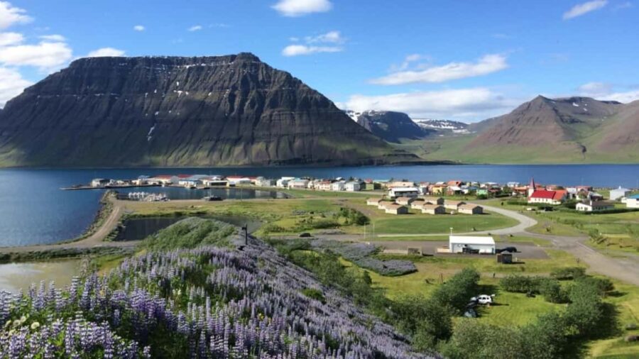 Ísafjörður: Flateyri Village tour: Nature, Culture, History - Scenic Drive Through the Westfjords Before Reaching Flateyri