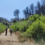 Ischia: Volcano hike - Starting Point at Castiglione Thermal Park in Casamicciola