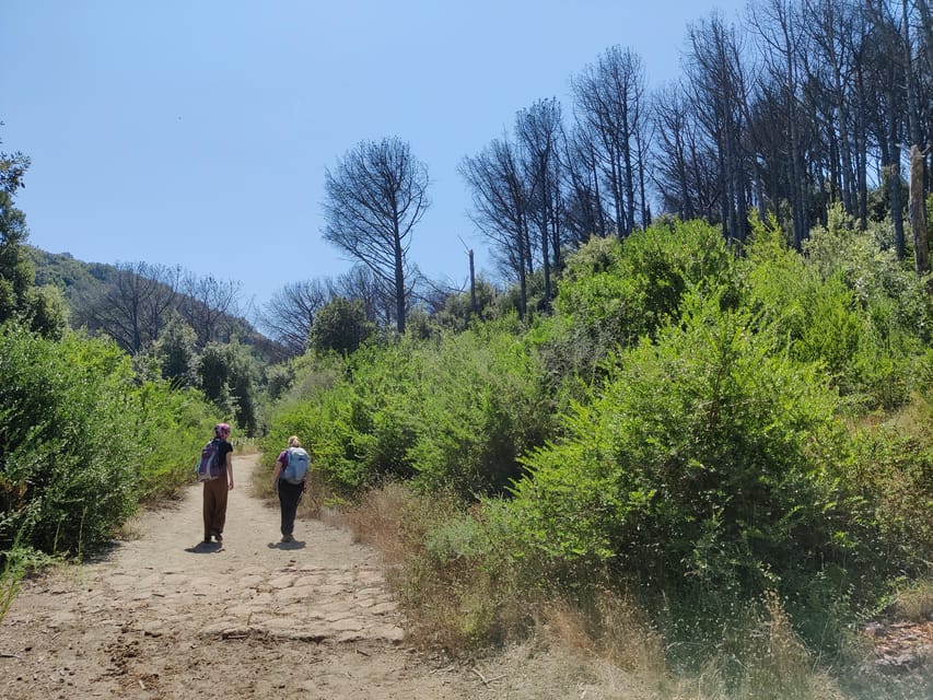 Ischia: Volcano hike - Starting Point at Castiglione Thermal Park in Casamicciola