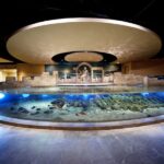 Istanbul Aquarium and Aqua Florya Shopping Mall Tour - The 5D Cinema: An Exciting Visual Feast