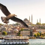 Istanbul Bosphorus Boat Tour and Golden Horn Cruise Day or Sunset - Passing Under the Galata and Bosphorus Bridges