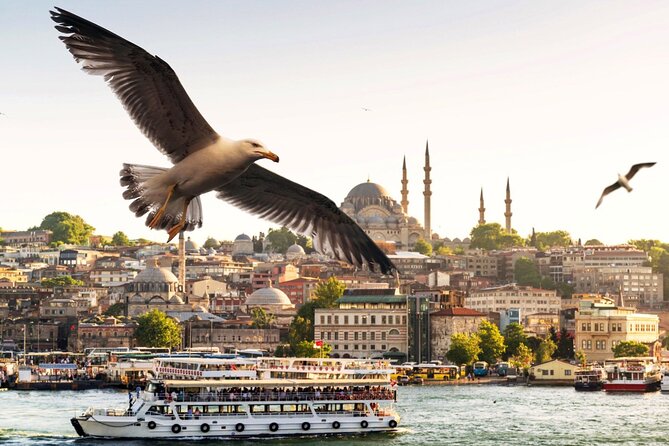 Istanbul Bosphorus Boat Tour and Golden Horn Cruise Day or Sunset - Passing Under the Galata and Bosphorus Bridges