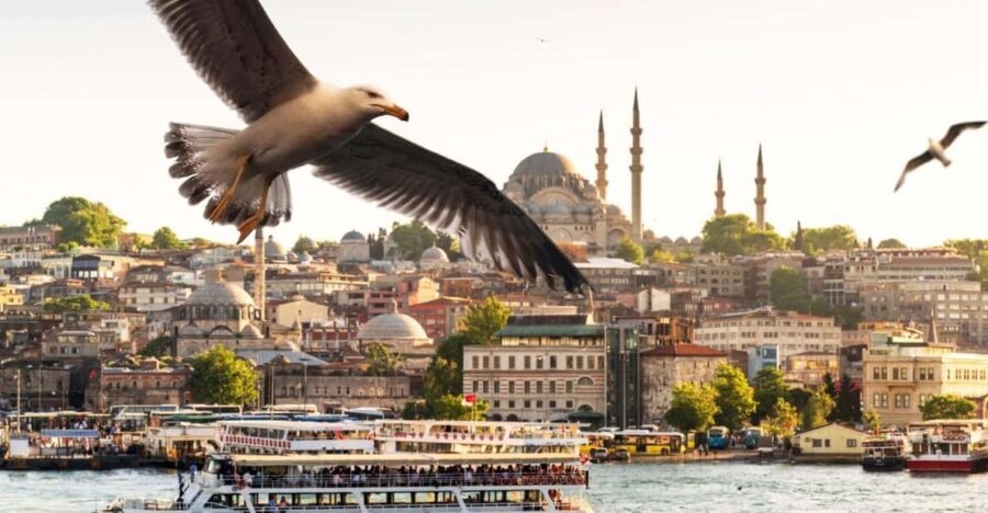Istanbul: Bosphorus Morning/Sunset Cruise with Optional Stop - How the Tour Starts and Ends